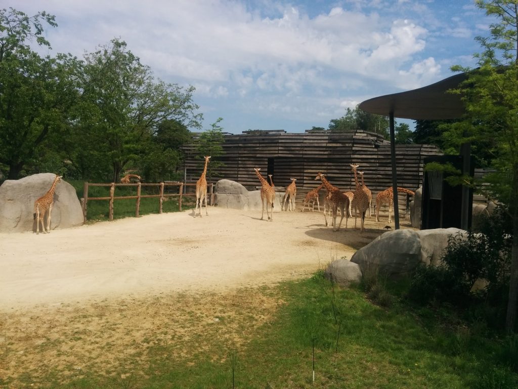 Zoo Paris