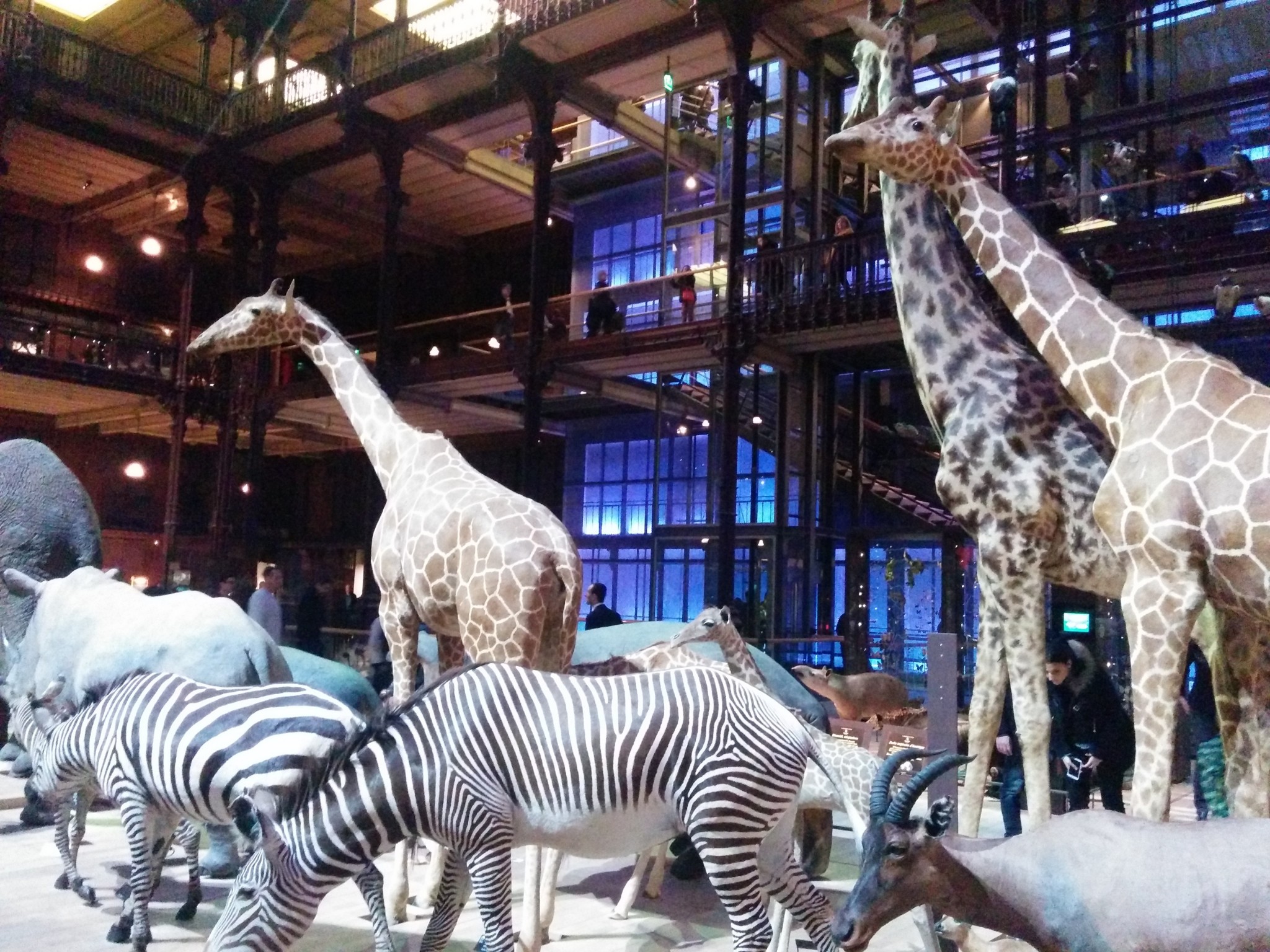 Grande Galerie de l'Evolution de Paris