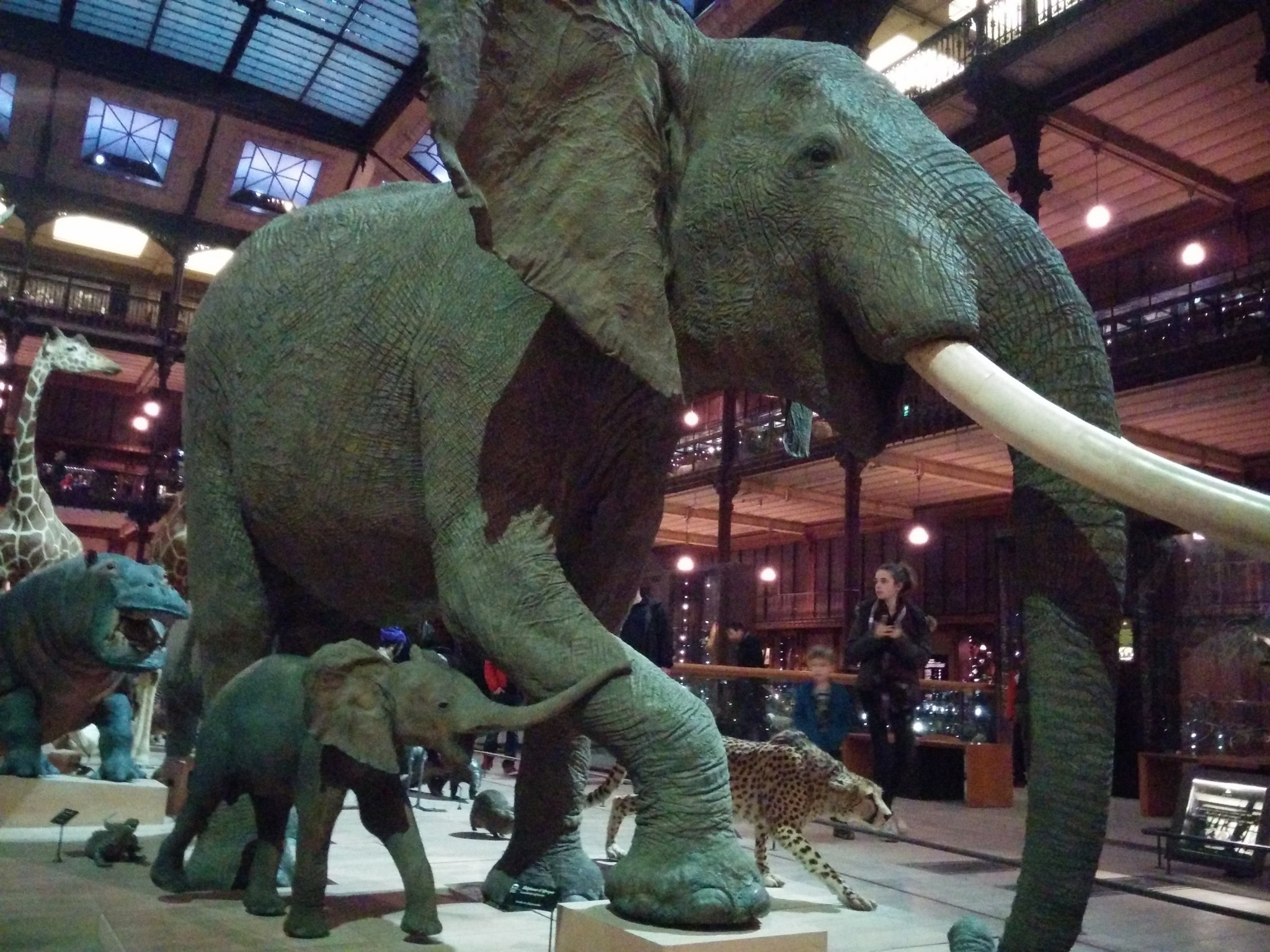 Grande Galerie de l'Evolution de Paris