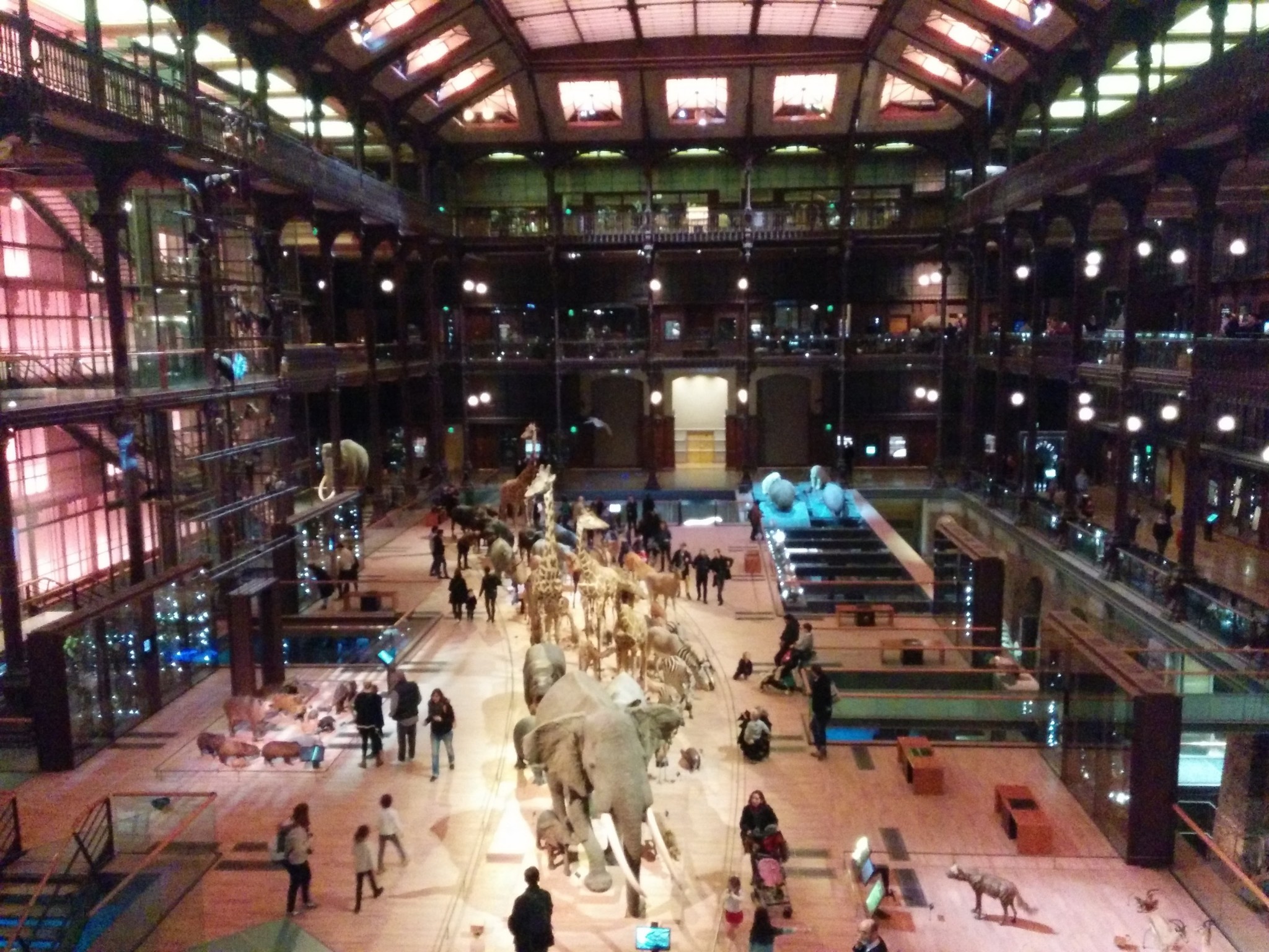 Grande Galerie de l'Evolution de Paris