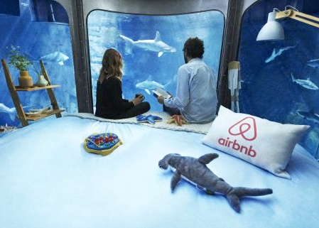 cineaqua