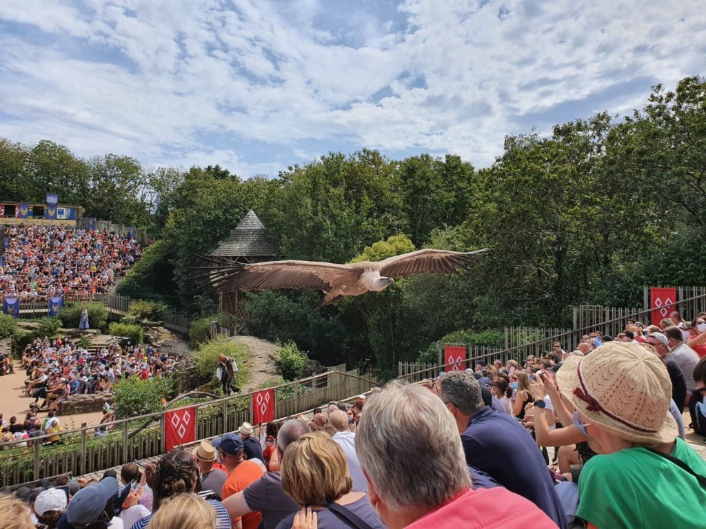 Puy du Fou, espetáculo com passáros